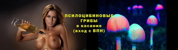 трава Балахна